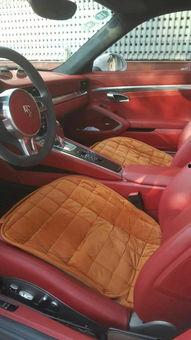 驴脸图片,探寻动物世界的独特魅力